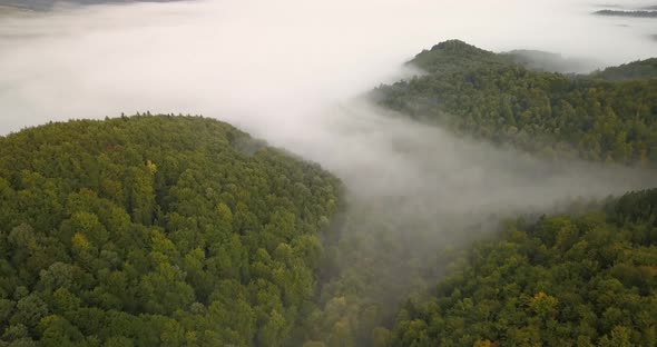 Aerial Top View To the Foggy Morning Carpathian Forest in Ukraine alt