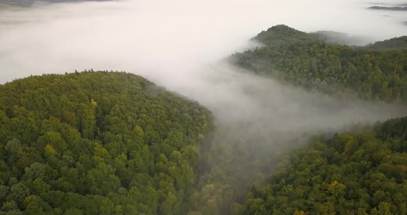 Aerial Top View To the Foggy Morning Carpathian Forest in Ukraine
