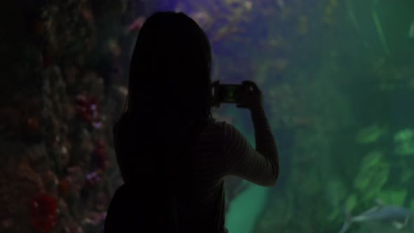 A Young Woman in the Aquarium Takes Pictures of Marine Life on the Phone alt