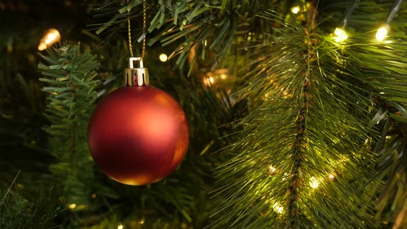 Shiny matte color bauble on the tree branch 4K 2160p 30fps UltraHD footage - Decorative red Christma alt