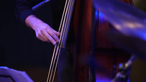 Hands Playing Contrabass