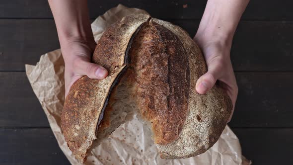 Hands Hold and Break a Large Appetizing Loaf of Homemade Bread with a Crispy Baked Crust