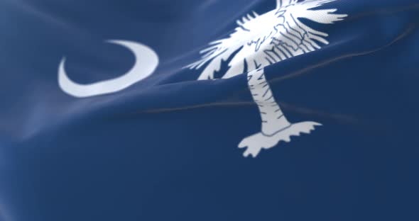 Flag of American State of South Carolina alt