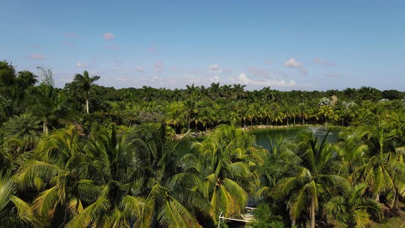 aerial view of a tropical landscape palm threes around an artificial lake alt