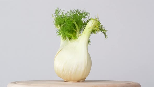 Fennel 01 alt