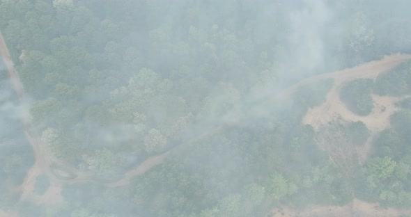Aerial View of Forest Fire in Spring Fire in the Forest alt