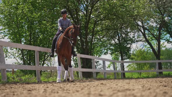 Jockey On A Dark Bay Horse Riding Along The Wooden Fence In The Sandy Arena alt
