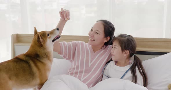 Mother and daughter playing with brown dog on bed (2)