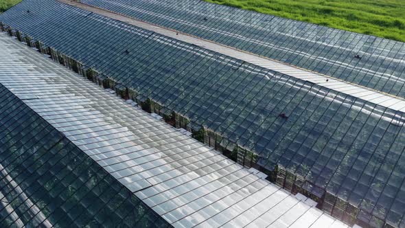 Drone Flying Over a Big Glasshouse with Natural Organic Plants alt