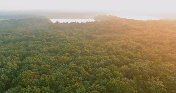 Forest Lake in the Morning Fog Sunrise alt