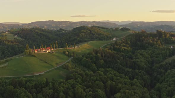 Aerial View of Vineyard Hils in South Styria, Tuscany Like Landscape. Sunset with Clear Sky, Summer alt