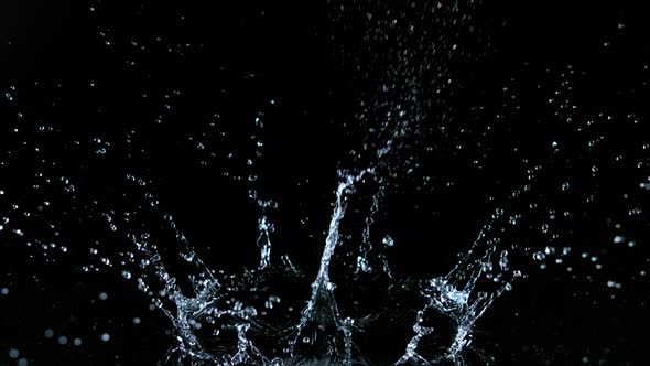 Super Slow Motion Shot of Water Crown Splash at 1000Fps Isolated on Black Background alt