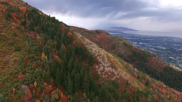Aerial view on hillside above city during Fall. alt