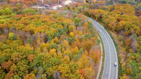 Aerial cars driving road in yellow autumn forest