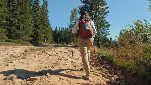 Woman Hiker with Trekking Poles Is Climbing in the Mountains alt