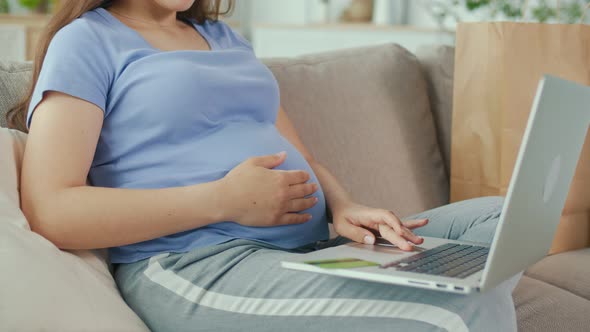 Pregnant Woman Buying Online Using Laptop and Credit Card alt