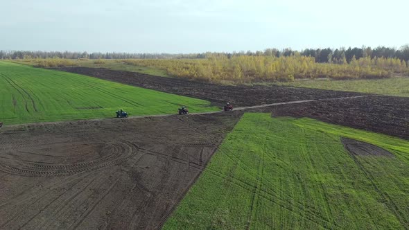 A String of ATVs Drives Across the Field Against the Background of the Forest View From a Height