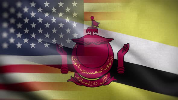 USA Brunei Flag Loop Background 4K
