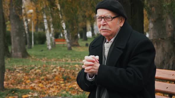 Senior man at park, looking up, praying prayer, thinking. Portrait, closeup, 4K UHD alt
