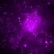 Moving Particles Purple - VideoHive Item for Sale