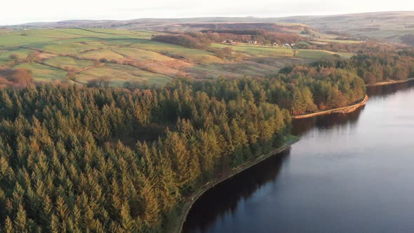 Aerial view of a lakeside forest from a drone alt