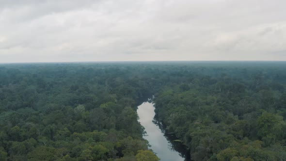 Aerial view of Amazon forest in Amazonia Jungle Peru 4K
