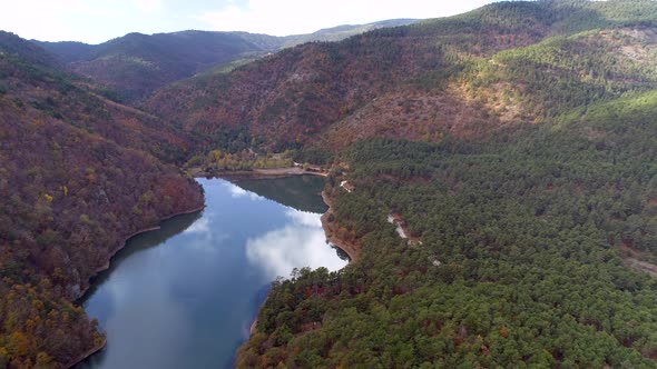 Aerial View Lake Between Pine Trees