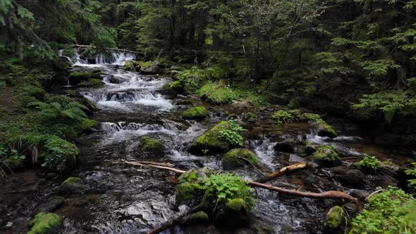 River Flowing Over Rocks in the Forest alt