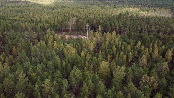 A drone fly over a dense autumn forest with a high-voltage support.