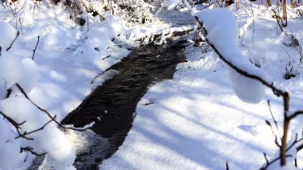 Forest Stream Flows in Nature Against the Background of Thawed Snow alt