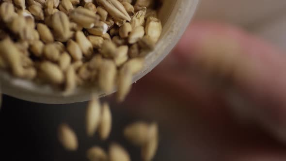 Slow motion footage of beer home brewing supplies and processes  alt