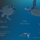Sea Turtle 5 - VideoHive Item for Sale