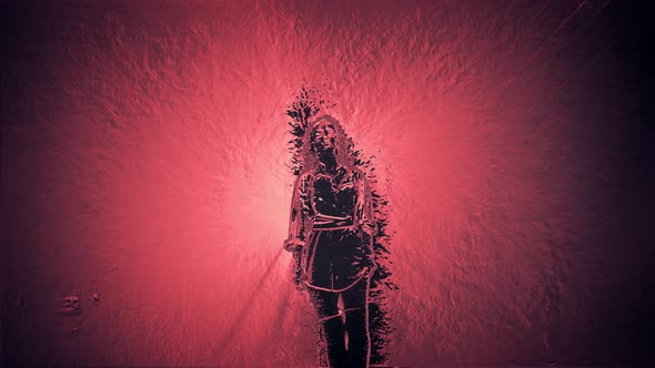 Silhouette of a Woman alt