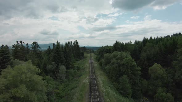 FPV Drone Flies Rapidly Along the Railroad Tracks Surrounded By Pine Forest alt