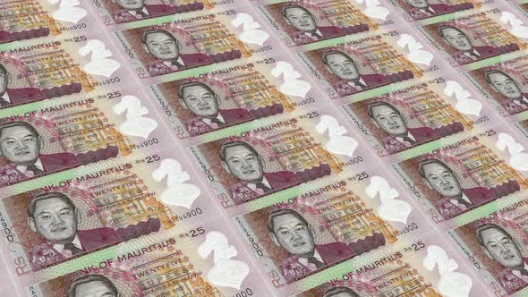 Mauritius  Money 25 Mauritian Rupee  4K alt