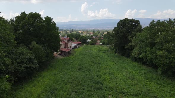 Rural Plant Field alt