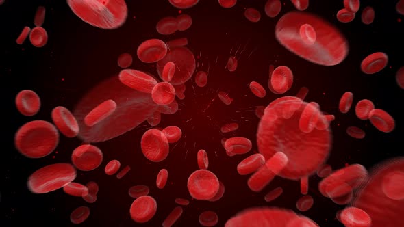 Blood Cells Stream