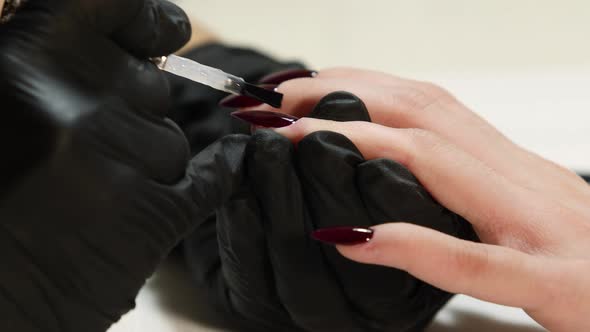 Manicurist Hands Make Female Manicure 