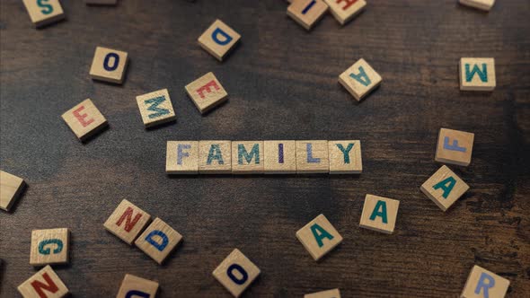 A Word FAMILY  Made of Scattered Wooden Blocks with Alphabet Letters Zoom in Vocabulary Game alt