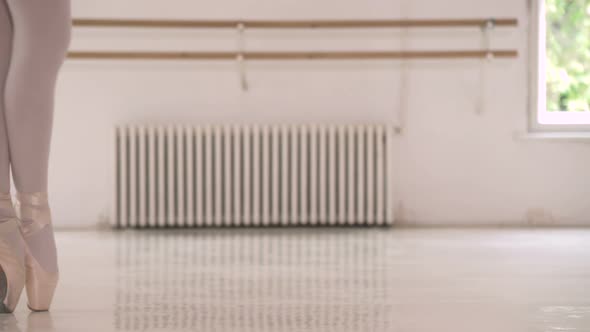 Legs walking on pointe style alt