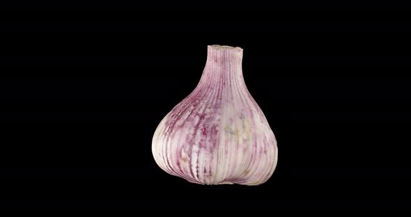 Young Pink Garlic. Alpha Channel.Rotation