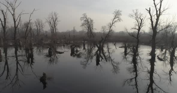 Drone HD footage of a swamp in winter. Sun reflects on water. Post apocalyptic sight.