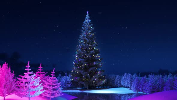Snowy Christmas Tree At Forest
