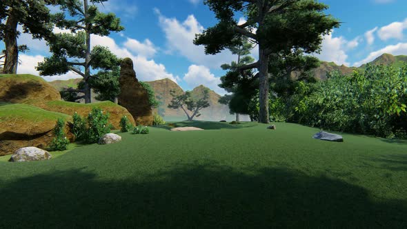 Coniferous Forest Growing In The Mountains 2k