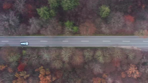 Black car drives fast through a misty forest, fly with shot by a drone. alt