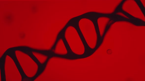 Cinematic realistic black DNA animation on light red background