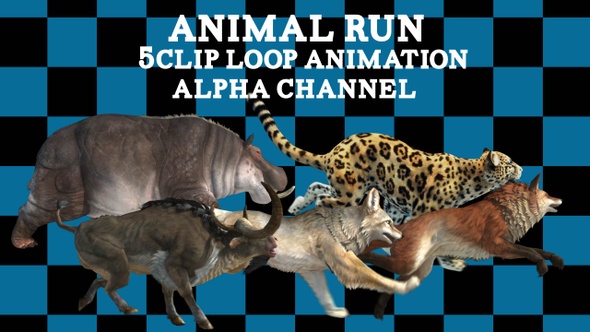Animal Run Pack 5Clip