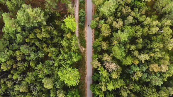 AERIAL: Lonely Cyclist Drives in the Forest, Opposite Direction Shot alt