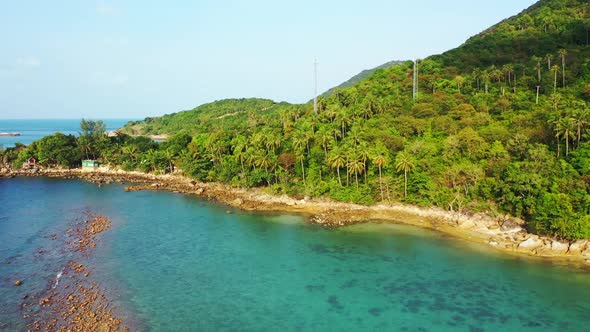 Aerial top down abstract of tranquil seashore beach wildlife by blue green ocean and white sandy bac alt