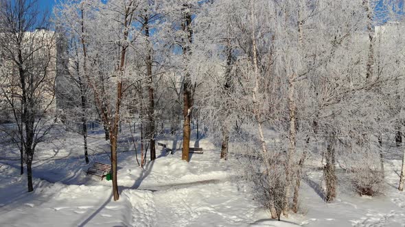 Snow Covered City Park in Winter and Moscow, Russia. Sideways Movement